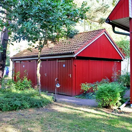Glueckspilz Prerow