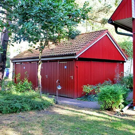 Glueckspilz プレロー